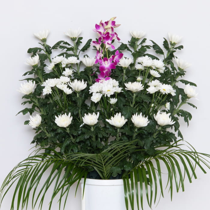 供花