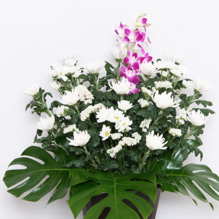 供花